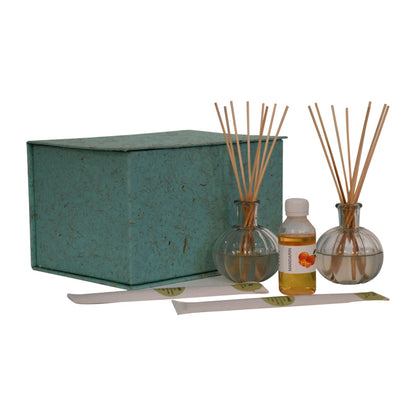 Amia Glass Bottle Diffuser Set (Mandrin & Apple Cinnamon) - Red Ross Retail-Furniture Specialists 