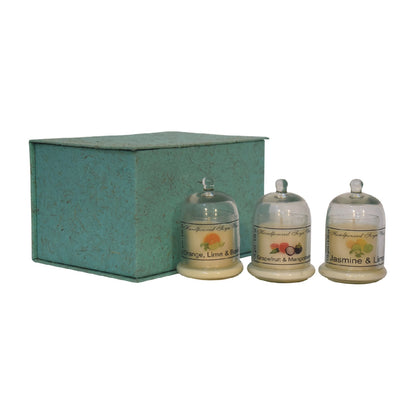 Bell Jar Candle Set of 3 (Orange, Lime & Basil, Grapefruit & Mangosteen, Jasmine & Lime) - Red Ross Retail-Furniture Specialists 